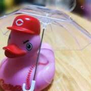 ヒメ日記 2025/08/08 17:02 投稿 遠藤　さら プルプル人妻専門店