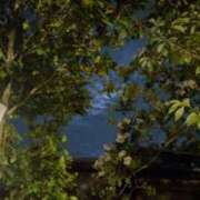 ヒメ日記 2025/08/09 00:19 投稿 遠藤　さら プルプル人妻専門店