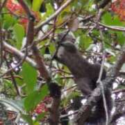 ヒメ日記 2025/08/12 22:53 投稿 遠藤　さら プルプル人妻専門店