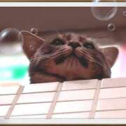 ヒメ日記 2025/08/20 20:39 投稿 遠藤　さら プルプル人妻専門店