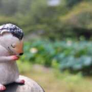 ヒメ日記 2025/08/24 07:54 投稿 遠藤　さら プルプル人妻専門店