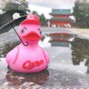 ヒメ日記 2025/08/26 06:08 投稿 遠藤　さら プルプル人妻専門店