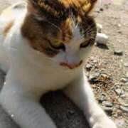 ヒメ日記 2025/09/09 20:49 投稿 遠藤　さら プルプル人妻専門店