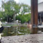 ヒメ日記 2025/09/10 14:07 投稿 遠藤　さら プルプル人妻専門店