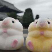 ヒメ日記 2025/09/14 07:47 投稿 遠藤　さら プルプル人妻専門店