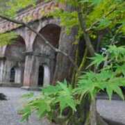 ヒメ日記 2025/09/30 07:37 投稿 遠藤　さら プルプル人妻専門店