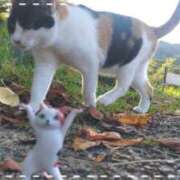 ヒメ日記 2025/10/03 07:11 投稿 遠藤　さら プルプル人妻専門店