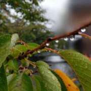 ヒメ日記 2025/10/04 16:33 投稿 遠藤　さら プルプル人妻専門店