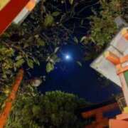 ヒメ日記 2025/10/06 00:23 投稿 遠藤　さら プルプル人妻専門店