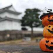 ヒメ日記 2025/10/10 10:09 投稿 遠藤　さら プルプル人妻専門店