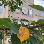 ヒメ日記 2025/10/11 07:34 投稿 遠藤　さら プルプル人妻専門店