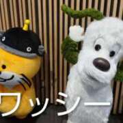 ヒメ日記 2025/10/11 18:21 投稿 遠藤　さら プルプル人妻専門店