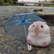 ヒメ日記 2025/10/16 07:12 投稿 遠藤　さら プルプル人妻専門店