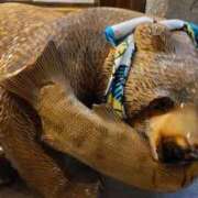 ヒメ日記 2025/10/24 23:43 投稿 遠藤　さら プルプル人妻専門店