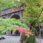 ヒメ日記 2025/11/03 07:45 投稿 遠藤　さら プルプル人妻専門店