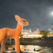 ヒメ日記 2025/11/06 19:11 投稿 遠藤　さら プルプル人妻専門店