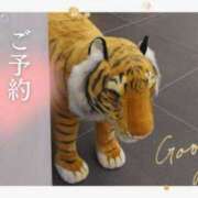 ヒメ日記 2025/11/08 14:00 投稿 遠藤　さら プルプル人妻専門店