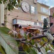 ヒメ日記 2025/11/08 16:30 投稿 遠藤　さら プルプル人妻専門店