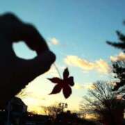 ヒメ日記 2025/11/08 20:17 投稿 遠藤　さら プルプル人妻専門店