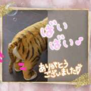 ヒメ日記 2025/11/09 00:55 投稿 遠藤　さら プルプル人妻専門店