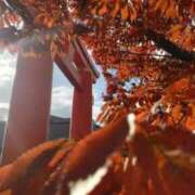 ヒメ日記 2025/11/11 15:44 投稿 遠藤　さら プルプル人妻専門店