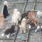 ヒメ日記 2025/11/11 22:14 投稿 遠藤　さら プルプル人妻専門店