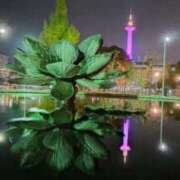 ヒメ日記 2025/11/12 19:21 投稿 遠藤　さら プルプル人妻専門店