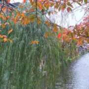 ヒメ日記 2025/11/13 09:09 投稿 遠藤　さら プルプル人妻専門店