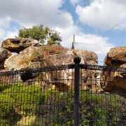 ヒメ日記 2025/11/14 13:51 投稿 遠藤　さら プルプル人妻専門店