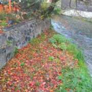 ヒメ日記 2025/11/15 16:29 投稿 遠藤　さら プルプル人妻専門店