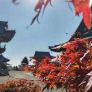 ヒメ日記 2025/11/16 14:47 投稿 遠藤　さら プルプル人妻専門店