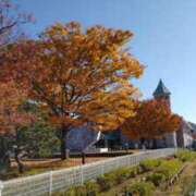 ヒメ日記 2025/11/16 18:55 投稿 遠藤　さら プルプル人妻専門店