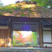 ヒメ日記 2025/11/20 11:54 投稿 遠藤　さら プルプル人妻専門店