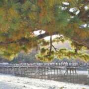 ヒメ日記 2025/11/22 17:03 投稿 遠藤　さら プルプル人妻専門店