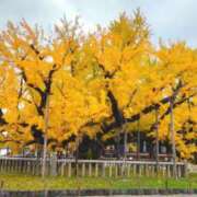 ヒメ日記 2025/11/24 14:49 投稿 遠藤　さら プルプル人妻専門店