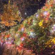 ヒメ日記 2025/11/28 05:43 投稿 遠藤　さら プルプル人妻専門店