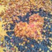 ヒメ日記 2025/11/28 07:56 投稿 遠藤　さら プルプル人妻専門店