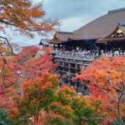 ヒメ日記 2025/11/28 14:16 投稿 遠藤　さら プルプル人妻専門店