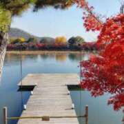 ヒメ日記 2025/11/30 19:18 投稿 遠藤　さら プルプル人妻専門店