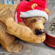 ヒメ日記 2025/12/03 14:25 投稿 遠藤　さら プルプル人妻専門店