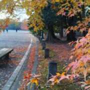 ヒメ日記 2025/12/05 09:03 投稿 遠藤　さら プルプル人妻専門店