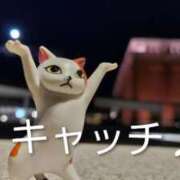 ヒメ日記 2025/12/05 19:06 投稿 遠藤　さら プルプル人妻専門店