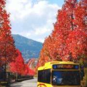 ヒメ日記 2025/12/06 17:54 投稿 遠藤　さら プルプル人妻専門店