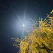 ヒメ日記 2025/12/07 01:27 投稿 遠藤　さら プルプル人妻専門店