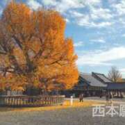 ヒメ日記 2025/12/11 13:04 投稿 遠藤　さら プルプル人妻専門店