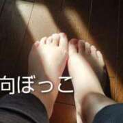 ヒメ日記 2025/12/13 10:45 投稿 遠藤　さら プルプル人妻専門店