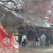 遠藤　さら ｡⁠◕⁠‿⁠◕⁠｡ プルプル人妻専門店