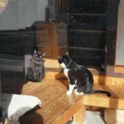 遠藤　さら ｡⁠◕⁠‿⁠◕⁠｡ プルプル人妻専門店