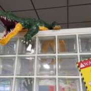 ヒメ日記 2025/12/26 20:55 投稿 遠藤　さら プルプル人妻専門店