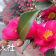 ヒメ日記 2026/01/26 13:46 投稿 遠藤　さら プルプル人妻専門店